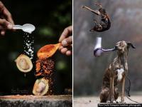 याला म्हणतात टायमिंग! एकदा हे फोटो पाहाच - Marathi News | perfectly timed photos | Latest jarahatke Photos at Lokmat.com