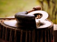 भारतातली ही 10 वाद्यं आहेत संस्कृती अन् लोकसंगीताची ओळख - Marathi News | These are the top 10 musical instruments in India | Latest national Photos at Lokmat.com