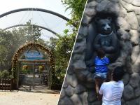 राणीच्या बागेत भरली प्राणी-पक्ष्यांची शाळा - Marathi News | Mumbai gets India's first and biggest 'walk-through' aviary at Veermata Jijabai Bhosale Udyan | Latest mumbai Photos at Lokmat.com