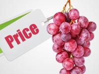 बापरे! 24 लाल द्राक्षांचा गुच्छ विकला 7.5 लाख रुपयांना... - Marathi News | Bunch of red grapes Ruby Roman sold for Rs 75 lakh at Japanese auction | Latest jarahatke Photos at Lokmat.com