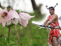 संपूर्ण जगात 'हे' फुल कुठेही सापडणार नाही ते फक्त आढळतं मणिपुरमध्येच! - Marathi News | 'Flowers' can not be found anywhere in the world only in Manipur | Latest social-viral Photos at Lokmat.com