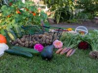 थंडीच्या दिवसात 'या' भाज्या खाणं ठरेल फायदेशीर - Marathi News | these vegetables eat in winter | Latest health Photos at Lokmat.com