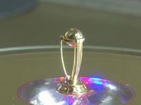 ICC World Cup 2019 : वर्ल्ड कपची छोटी प्रतिकृती पाहिलीत का? - Marathi News | ICC World Cup 2019 : Bengaluru-based goldsmith Nagaraj Revankar has created a 1.5 cm tall miniature of World Cup trophy | Latest cricket Photos at Lokmat.com