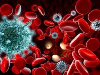 CoronaVirus News : कोरोना विषाणूंशी लढण्याासाठी मानवी शरीर कधीपर्यंत तयार होणार? जाणून घ्या - Marathi News | CoronaVirus News Marathi : How long we have to suffer by coronavirus crisis corona vaccine myb | Latest health Photos at Lokmat.com