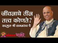 जीवनाचे तीन तत्त्व कोणते ? Satguru Shri Wamanrao Pai | Jeevanvidya | Amrutbol Part 41