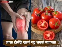 सावधान! जास्त टोमॅटो खाल्ल्याने वाढते सांधेदुखी, चालणं होतं अवघड; 'या' समस्यांचा धोका - Marathi News | solanine and lycopene in tomato can cause joint pain kidney disease | Latest health Photos at Lokmat.com