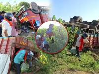 इथे माणुसकी हरली! टोमॅटो नव्हे काकड्या लुटल्यासाठी उडाली एकच झुंबड; लाखोंचे नुकसान - Marathi News | After the Surajpur truck accident in Chhattisgarh, locals stole cucumbers and fled from there | Latest national Photos at Lokmat.com