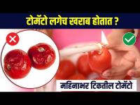 टोमॅटो महिनाभर टिकवून ठेवण्यासाठी सोपी ट्रिक | Simple trick to preserve tomatoes for a month | RI3