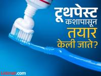 ज्या टूथपेस्टचा रोज वापर करता, त्यात काय काय टाकलं जातं? तुम्हालाही नसेल माहीत... - Marathi News | What are the things used in toothpaste you should know | Latest jarahatke Photos at Lokmat.com