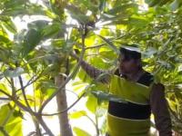 वावर हाय तर पावर हाय! १० वी पास बाईनं शेतात बनवलं जबरदस्त आयलँड; आता होतेय लाखोंची कमाई - Marathi News | Woman kiran make island water boating vegetable fruits tourist google award kannauj uttar pradesh | Latest jarahatke Photos at Lokmat.com