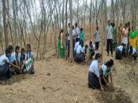 world environment day : नाशिककरांकडून चार तासांत एक हजार वेलींची लागवड - Marathi News | world environment day: One thousand vine cultivation in four hours from Nashik | Latest nashik Photos at Lokmat.com