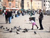 येथे कबुतरांना दाणे घालण्यावर आहे बंदी - Marathi News | There is a ban on pigeon grain | Latest international Photos at Lokmat.com