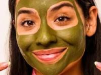 मुरुम,ओपन पोअर्स आणि ब्लॅकहेड्स होतील कमी, तुळशीच्या पानांचा ' असा ' करा उपयोग, समस्या गायब - Marathi News | Benefits of Tulsi for Skin pimples open pores blackheads treatment Face Mask Acne and Breakouts skin care tips | Latest sakhi Photos at Lokmat.com