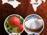 पाकिस्तानला पाठिंबा देणाऱ्या तुर्कस्थानचा बहिष्कार? भारत कोणत्या वस्तू आयात करतो? - Marathi News | boycott turkey trending in india traders ditch turkish apples over pakistan support | Latest business Photos at Lokmat.com