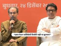 "नेमके कशासाठी आज घालताय एकमेकांच्या गळ्यात गळे?"; युती होताच भाजपाचा खोचक सवाल - Marathi News | BJP Ashish Shelar Slams Uddhav Thackeray And Raj Thackeray Over shivsena mns alliance for election | Latest maharashtra News at Lokmat.com