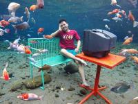 गाळयुक्त 'तळं' स्विमींग अन् सेल्फी स्पॉट बनतं तेव्हा.... - Marathi News | When the muddy 'lake' became swimming and selfie spot in Indonesia | Latest international Photos at Lokmat.com