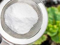 रोपांना फुलंच येत नाहीत, पानं पिवळी पडतात? 'या' पद्धतीने बेकिंग सोडा वापरा- रोपं होतील हिरवीगार - Marathi News | benefits of baking soda for plants, how to use baking soda for plants | Latest sakhi Photos at Lokmat.com