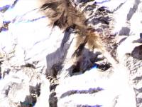 Uttarakhand glacier burst: उत्तराखंड दुर्घटना हिमकडा कोसळून नाही, त्रिशूळ पर्वतामुळे; सॅटेलाईट फोटो आले - Marathi News | Uttarakhand glacier burst: disaster caused by landslide; satellite image of planet labs | Latest national Photos at Lokmat.com