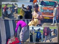 ट्रकचा अपघात अन् स्थानिकांनी संधी साधली; कोंबड्यांची लूट, लाखो रूपयांचे नुकसान - Marathi News | Locals flee with chickens after truck accident in Etawah, Uttar Pradesh, see photo | Latest uttar-pradesh Photos at Lokmat.com