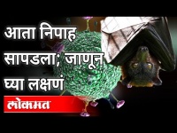 Corona'नंतर राज्यात सापडला निपाह विषाणू|Nipah Virus Antibodies found in Indian bats in Mahabaleshwar