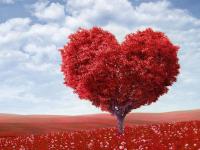 व्हॅलेंटाईन विकमध्ये पुढील चुका प्रकर्षाने टाळा! - Marathi News | Avoid further mistakes in Valentine's Week! | Latest relationship Photos at Lokmat.com