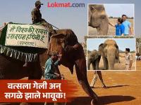 हत्तींची आजी गेली! १०० वर्षे जगली 'वत्सला'; वाचा आशिया खंडातील सर्वात वयस्कर हत्तीणीबद्दल - Marathi News | Elephants' grandmother passes away! 'Vatsala' lived for 100 years; Read about the oldest female elephant in Asia | Latest national Photos at Lokmat.com