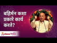 बहिर्मन कशा प्रकारे कार्य करते? How does our mind system work? Satguru Shri Wamanrao Pai