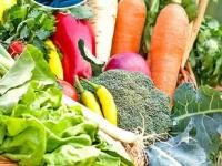 कडाक्याच्या थंडीमुळे त्रस्त? रोज ५ पैकी १ पालेभाजी खा; आजार राहतील लांब - तब्येत ठणठणीत - Marathi News | Why Leafy Greens Are Your Magic Weapon | Latest sakhi Photos at Lokmat.com