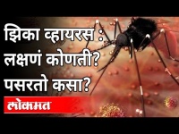 झिका व्हायरसची लक्षणं कोणती? उपचार काय? Zika virus Symptoms and Treatment । India