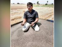 काळ्या गव्हाची कमाल; लाखोंच्या कमाईमुळे शेतकरी मालामाल - Marathi News | black wheat changes fortunes of madhya pradesh farmer becoming millionaire | Latest national Photos at Lokmat.com