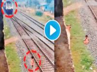 गाईने मुलीचे प्राण वाचविल्याच्या व्हिडीओमागचं सत्य काय? समोर आली अशी माहिती - Marathi News | What is the truth behind the video of a cow saving a girl's life? Information has come to light | Latest international News at Lokmat.com