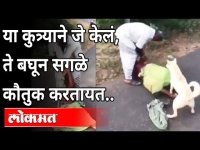 तो आईला मारत होता, आणि कुत्र्याने वाचवलं | Tamilnadu 's Ponneripatti Brutally Attacked | Viral Video