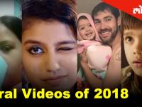 2018 मध्ये वर्षभर या Video झाल्या Viral, सांगा तुमची फेव्हरेट कोणती ?