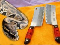 अजब आहे राव! चक्क 50 किलोचा साप आणि धारधार चाकूने होणार बॉडी-मसाज - Marathi News | knife to snake body massage weird beauty trends viral on social media | Latest jarahatke Photos at Lokmat.com