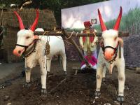 'माणदेशी महोत्सवा'ने आणली मुंबईकरांसाठी पर्वणी! शहराच्या वर्दळीत अनुभवा गावाकडची संस्कृती - Marathi News | Mandeshi Festivle organised in Mumbai from today, Experience the culture of the village | Latest mumbai Photos at Lokmat.com