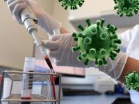 Coronavirus : कोरोनाशी लढण्यासाठी भारतात लवकरच 'या' थेरपीचा होणार वापर - Marathi News | coronavirus cure india to start plasma therapy kerala first off the block SSS | Latest national Photos at Lokmat.com