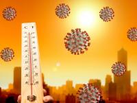 Coronavirus : कोरोनापासून सूर्यकिरणे तारणार, व्हायरस क्षणात नष्ट होतो; अमेरिकन शास्त्रज्ञांचा मोठा दावा - Marathi News | Coronavirus Sunlight Destroys Coronavirus Quickly, Say US Scientists SSS | Latest international Photos at Lokmat.com