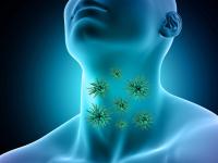 CoronaVirus News : आतड्यांमध्ये वेगाने होत आहे कोरोना विषाणूंचा प्रसार, तज्ञांचा खुलासा - Marathi News | CoronaVirus News Marathi : Corona virus images shows how covid 19 destroy human intestine myb | Latest health Photos at Lokmat.com