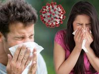 शिंकण्याचं हे नवं तंत्र शिकावंच लागेल भाऊ... कारण आपल्याला रोगाशी लढायचंय! - Marathi News | CoronaVirus News : Understand corona how sneeze in public | Latest health Photos at Lokmat.com