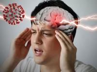 कोरोनाचा फुफ्फुसांपेक्षा मेंदूला जास्त फटका; ३ दिवसात १० पटीने वाढते विषाणूंची संख्या - Marathi News | coronavirus can infect the brain and replicate tiny neuronal balls study suggests | Latest health Photos at Lokmat.com