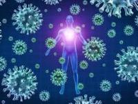 coronavirus: चिंता वाढली! कोरोनाचा संसर्ग रोखण्यासाठी संशोधकांनी मांडलेली ती थियरी निष्प्रभ ठरली - Marathi News | coronavirus: Anxiety increased! The theory put forward by researchers to prevent corona infection was disproved | Latest international Photos at Lokmat.com