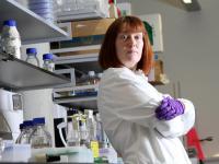 coronavirus: कोरोनाविरोधात लस विकसित करण्याच्या ऑक्सफर्डच्या मोहिमेचं या महिलेनं केलं नेतृत्व, अवघ्या काही महिन्यांत असं मिळवलं यश - Marathi News | coronavirus: Sarah Gilbert led the Oxford campaign to develop a vaccine against coronavirus | Latest international Photos at Lokmat.com