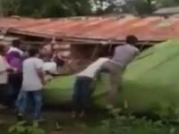 मद्याची वाहतूक करणारा ट्रक उलटला, सोशल डिस्टंसिंग धाब्यावर बसवून लोकांनी दारूच्या बाटल्यांवर डल्ला मारला - Marathi News | Alcohol truck overturns, people rush & looted liquor bottles | Latest national Photos at Lokmat.com