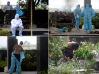 कोरोनामुळे मृत पावलेल्यांवर असे होतात अंत्यसंस्कार; स्मशानभूमीतील सुन्न करणारे फोटो - Marathi News | The government has set some rules for cremation in case of death due to corona | Latest mumbai Photos at Lokmat.com