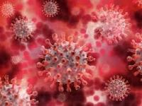 coronavirus: विषाणूमधील नव्या म्युटेशनमुळे कोरोनाच्या फैलावाचा वेग वाढणार, मास्क, सोशल डिस्टंसिंग कुचकामी ठरणार - Marathi News | coronavirus: New mutations in the rapidly spreading corona virus, masks, social distractions will be ineffective | Latest health Photos at Lokmat.com