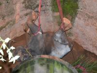 ५० फूट खोल विहिरीत पडलं हत्तीचं पिल्लू; अन् शेतकऱ्याला आवाज येताच सुरू झालं रेस्क्यू; पाहा फोटो - Marathi News | Rescue operation of elephant calf inside well in dharmapuri tamilnadu | Latest jarahatke Photos at Lokmat.com