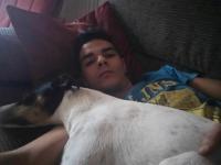 क्रौर्याचा कळस, नरभक्षक वेटरने आईचे १०० तुकडे केले, पाळीव कुत्र्यासोबत मिळून खाल्ले - Marathi News | Cruelty climax, cannibal waiter cuts mother into 100 pieces, eats together with pet dog | Latest crime Photos at Lokmat.com