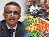 WHO Guidelines : कोरोनाच्या दुसऱ्या लाटेपासून बचावासाठी काय खायचं आणि काय टाळायचं?; WHO नं दिल्या गाईडलाईन्स - Marathi News | WHO Guidelines : WHO advised to have these foods to improve immune system in order to combat covid-19 | Latest health Photos at Lokmat.com