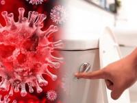 CoronaVirus: खालच्या फ्लॅटमध्ये रुग्ण आहे, तर तुम्हाला कोरोना होऊ शकतो का? जाणून घ्या उत्तरे - Marathi News | If there is a patient in the lower flat, can you have a coronavirus infection by toilet? know the answers | Latest international Photos at Lokmat.com