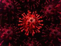 Coronavirus: भारत में मिले कोरोना स्ट्रेन का नामकरण WHO ने किया, दिया ये नाम - | Coronavirus strain found in India was named by the WHO, to be called delta | Latest india Photos at Lokmatnews.in
